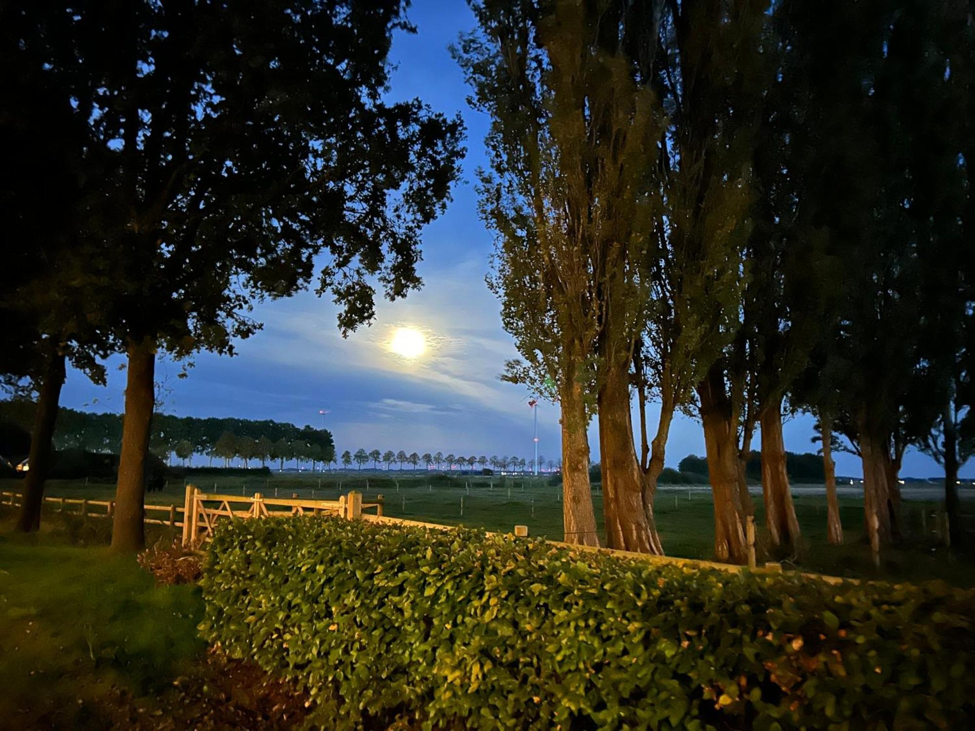 De Cordobahoeve Tweede Exloermond Luaran gambar